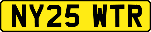 NY25WTR