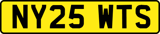 NY25WTS