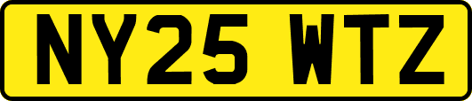NY25WTZ