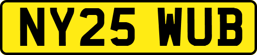 NY25WUB