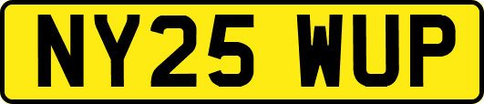 NY25WUP