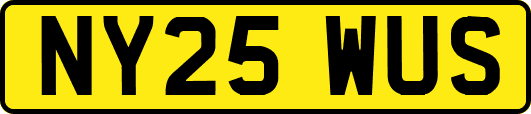 NY25WUS