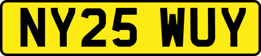 NY25WUY