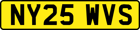 NY25WVS