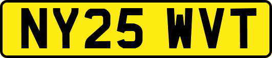 NY25WVT