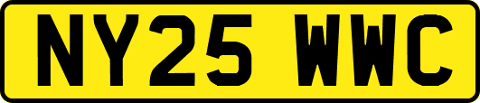NY25WWC