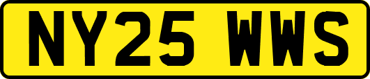 NY25WWS