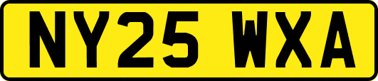 NY25WXA