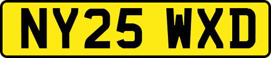 NY25WXD