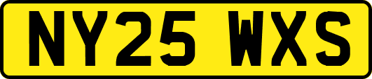 NY25WXS