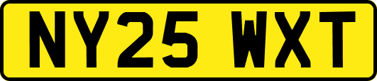 NY25WXT