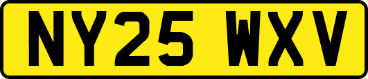 NY25WXV