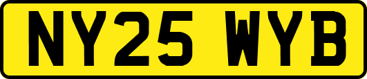 NY25WYB