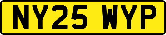 NY25WYP