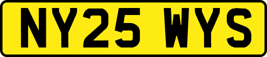 NY25WYS