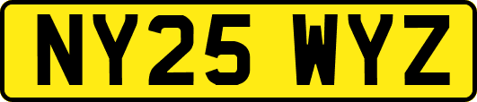 NY25WYZ