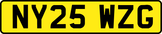 NY25WZG