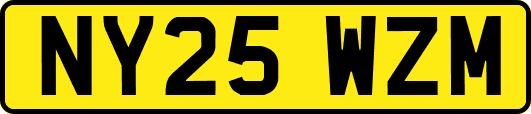 NY25WZM