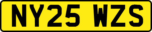 NY25WZS