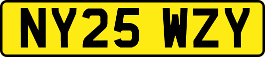 NY25WZY