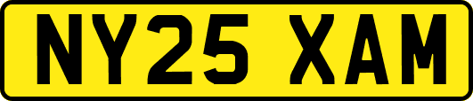 NY25XAM