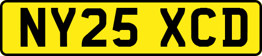NY25XCD