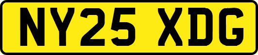 NY25XDG