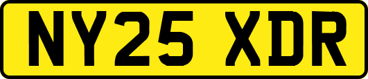 NY25XDR