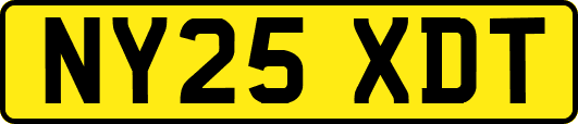 NY25XDT