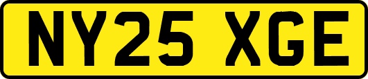 NY25XGE