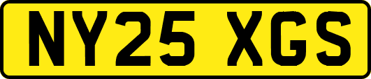 NY25XGS