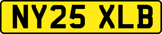 NY25XLB