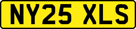 NY25XLS