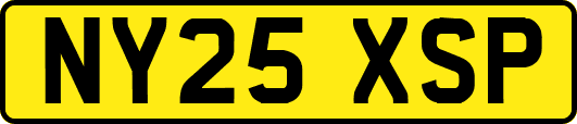 NY25XSP