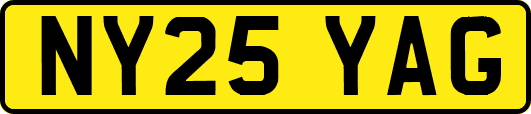 NY25YAG
