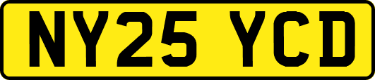 NY25YCD
