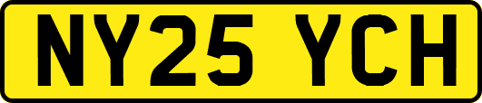 NY25YCH