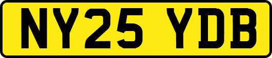 NY25YDB