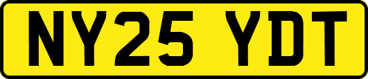NY25YDT