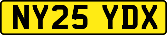 NY25YDX
