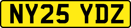 NY25YDZ