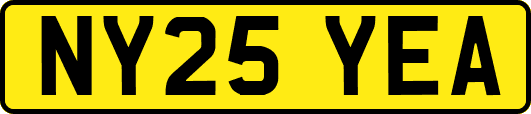 NY25YEA