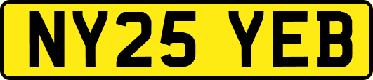 NY25YEB