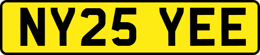 NY25YEE