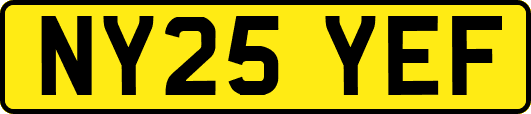 NY25YEF