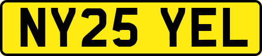 NY25YEL