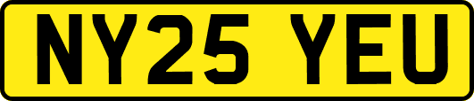 NY25YEU