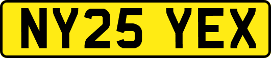 NY25YEX