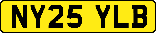 NY25YLB