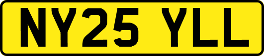 NY25YLL